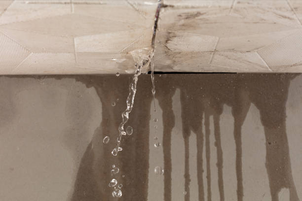 Professional Structural Drying technician working in Washington, IN